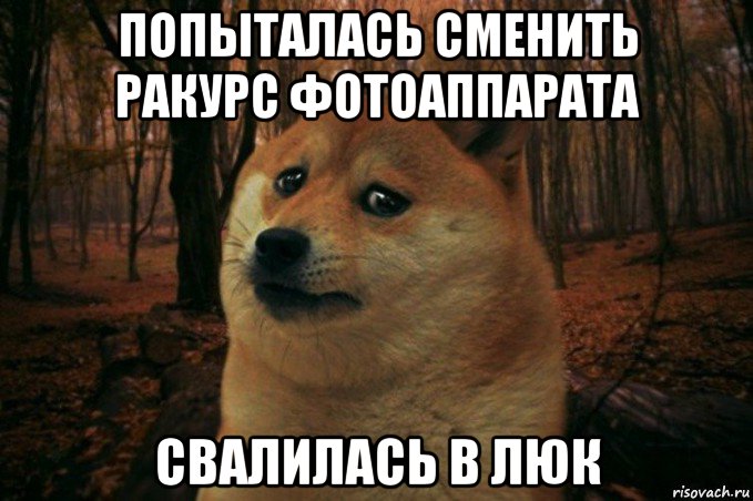 попыталась сменить ракурс фотоаппарата свалилась в люк, Мем SAD DOGE