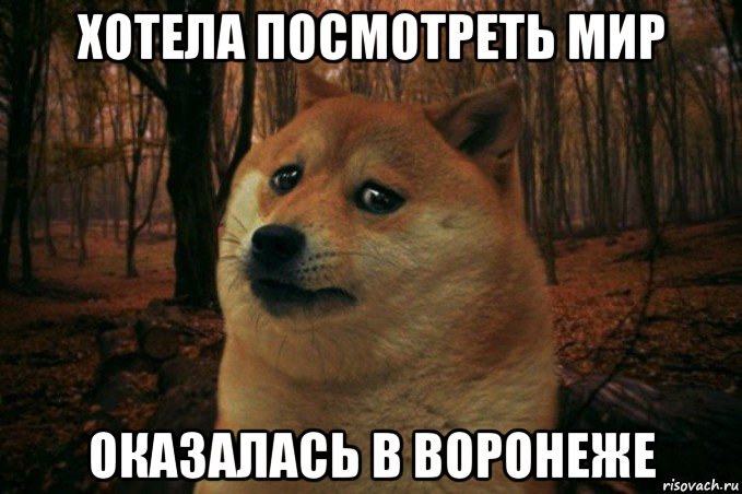 хотела посмотреть мир оказалась в воронеже, Мем SAD DOGE