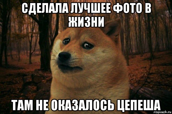 сделала лучшее фото в жизни там не оказалось цепеша, Мем SAD DOGE