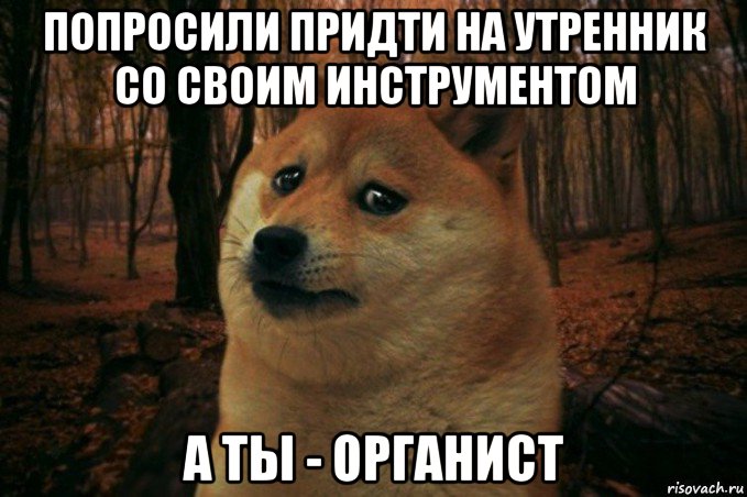 попросили придти на утренник со своим инструментом а ты - органист, Мем SAD DOGE