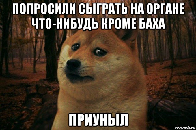 попросили сыграть на органе что-нибудь кроме баха приуныл, Мем SAD DOGE