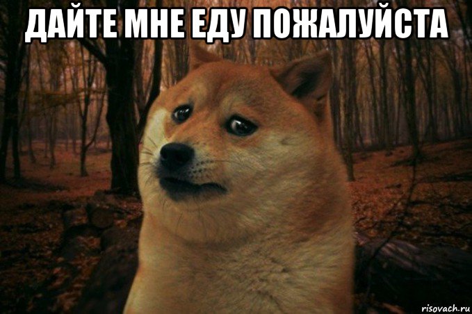 дайте мне еду пожалуйста , Мем SAD DOGE