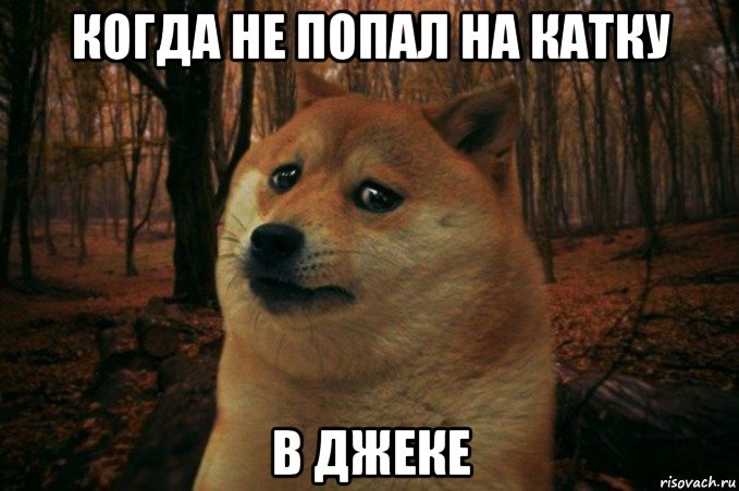 когда не попал на катку в джеке, Мем SAD DOGE