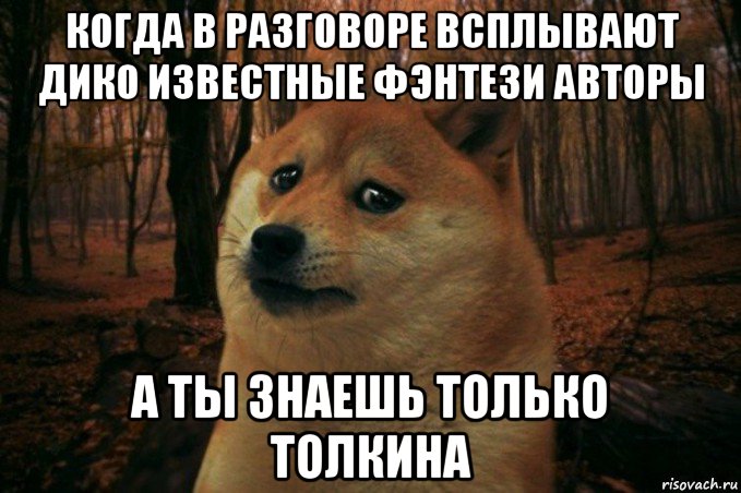 когда в разговоре всплывают дико известные фэнтези авторы а ты знаешь только толкина