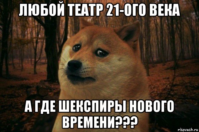 любой театр 21-ого века а где шекспиры нового времени???, Мем SAD DOGE