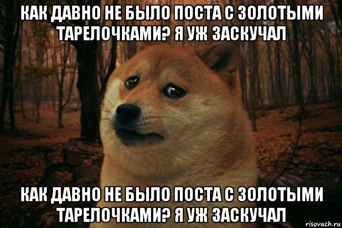 как давно не было поста с золотыми тарелочками? я уж заскучал как давно не было поста с золотыми тарелочками? я уж заскучал, Мем SAD DOGE