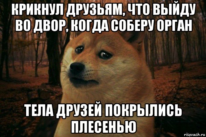 крикнул друзьям, что выйду во двор, когда соберу орган тела друзей покрылись плесенью