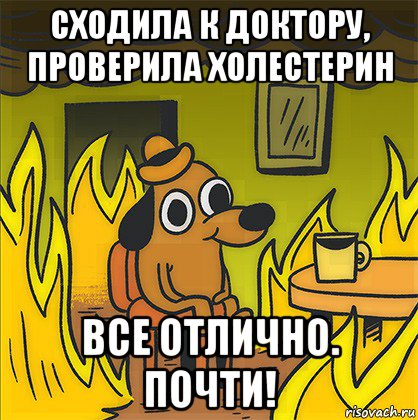 сходила к доктору, проверила холестерин все отлично. почти!, Мем Собака в огне