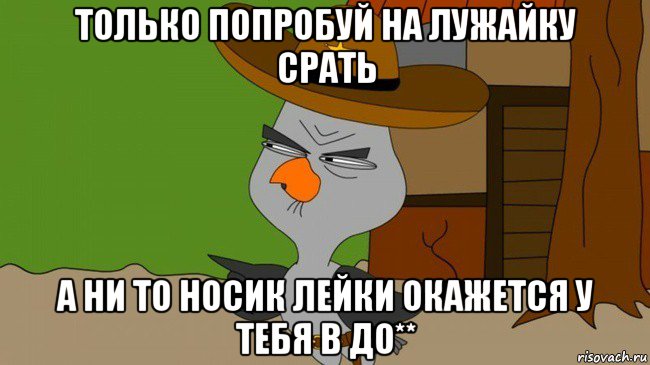 только попробуй на лужайку срать а ни то носик лейки окажется у тебя в до**, Мем  Строгая сова