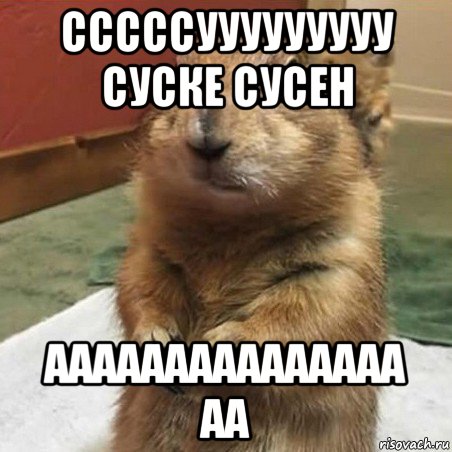 сссссууууууууу суске сусен ааааааааааааааа аа, Мем Суслик спрашивает