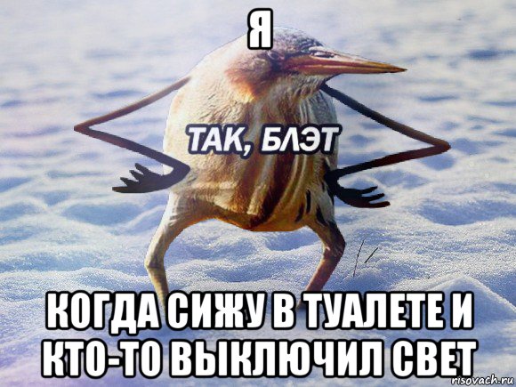 я когда сижу в туалете и кто-то выключил свет, Мем  Так блэт птица с руками