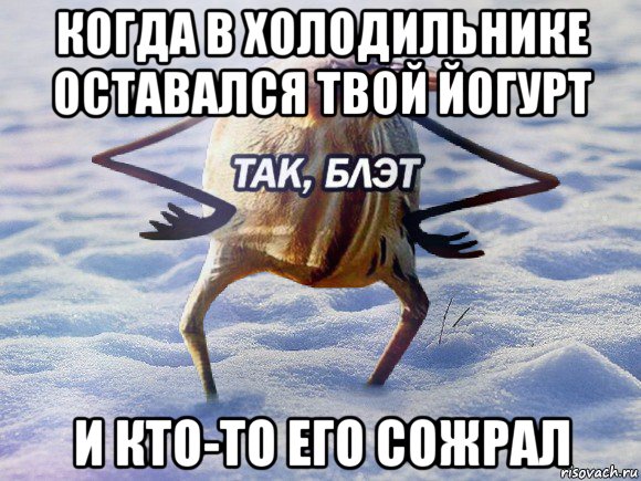 когда в холодильнике оставался твой йогурт и кто-то его сожрал, Мем  Так блэт птица с руками