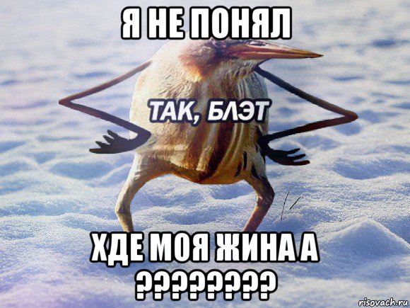 я не понял хде моя жина а ????????, Мем  Так блэт птица с руками