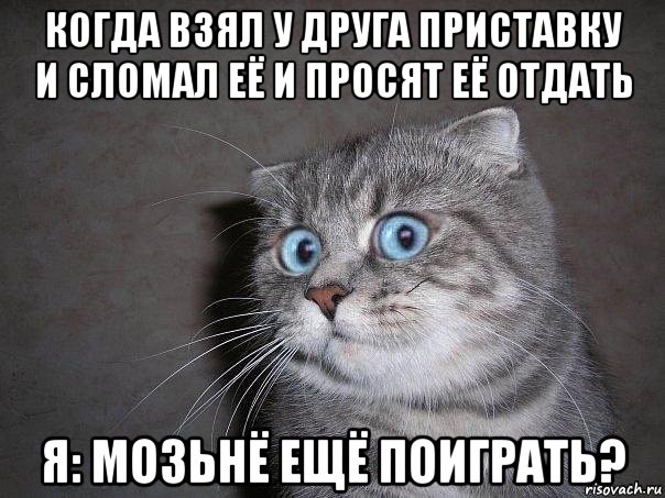 когда взял у друга приставку и сломал её и просят её отдать я: мозьнё ещё поиграть?, Мем  удивлённый кот