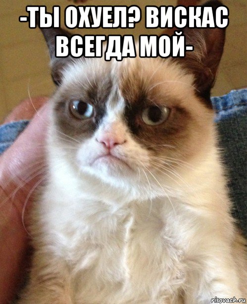 -ты охуел? вискас всегда мой- , Мем Угрюмый кот