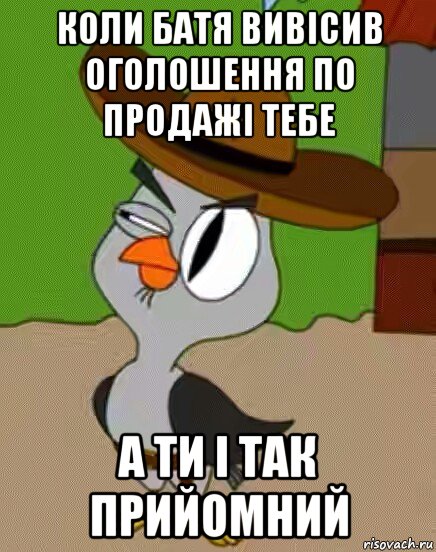 коли батя вивісив оголошення по продажі тебе а ти і так прийомний, Мем    Упоротая сова