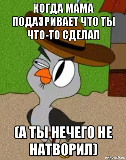 когда мама подазривает что ты что-то сделал (а ты нечего не натворил), Мем    Упоротая сова