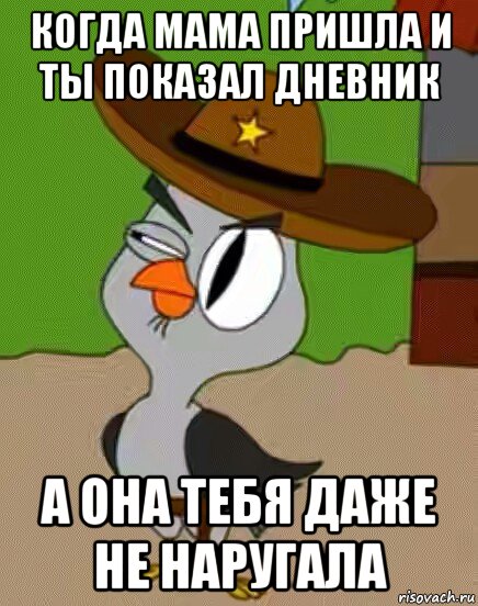 когда мама пришла и ты показал дневник а она тебя даже не наругала, Мем    Упоротая сова