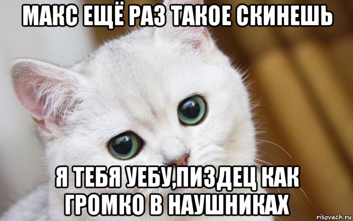 макс ещё раз такое скинешь я тебя уебу,пиздец как громко в наушниках, Мем  В мире грустит один котик