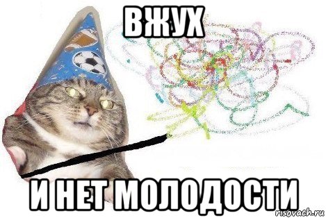 вжух и нет молодости, Мем Вжух