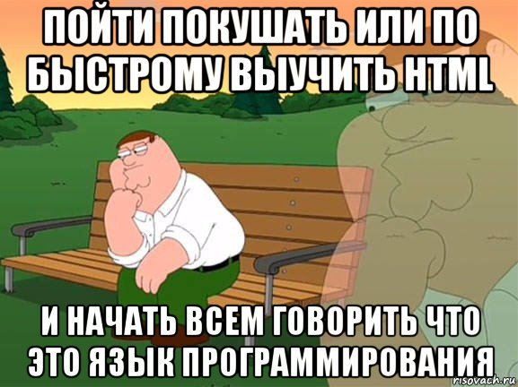 пойти покушать или по быстрому выучить html и начать всем говорить что это язык программирования, Мем Задумчивый Гриффин