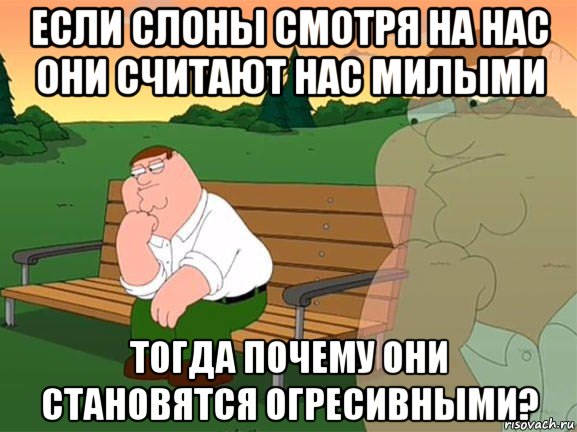 если слоны смотря на нас они считают нас милыми тогда почему они становятся огресивными?, Мем Задумчивый Гриффин