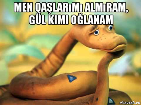 men qaşlarımı almıram, gül kimi oğlanam , Мем  задумчивый удав