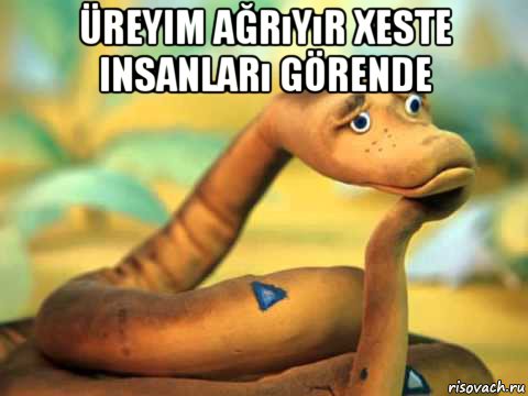 üreyim ağrıyır xeste insanları görende , Мем  задумчивый удав