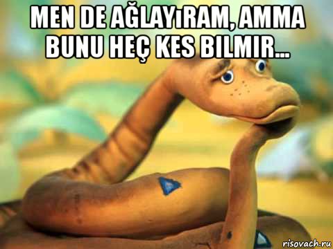 men de ağlayıram, amma bunu heç kes bilmir... , Мем  задумчивый удав