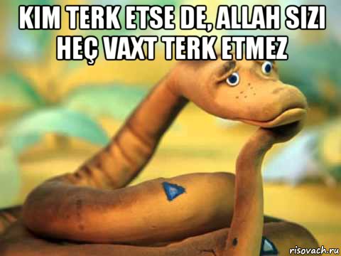 kim terk etse de, allah sizi heç vaxt terk etmez , Мем  задумчивый удав