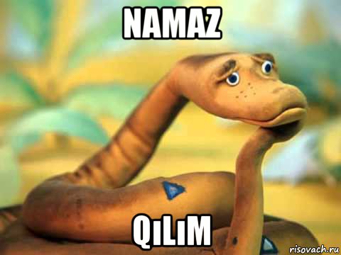 namaz qılım, Мем  задумчивый удав