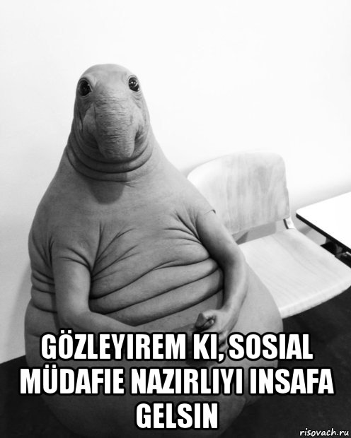  gözleyirem ki, sosial müdafie nazirliyi insafa gelsin, Мем  Ждун