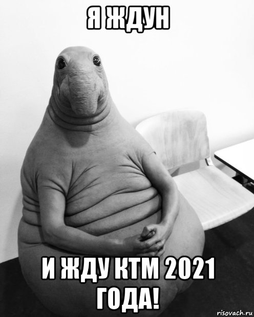 я ждун и жду ктм 2021 года!, Мем  Ждун