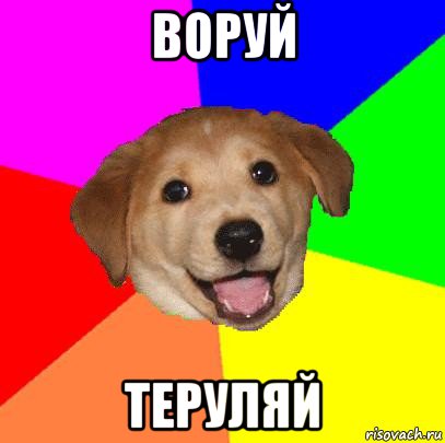 воруй теруляй, Мем Advice Dog