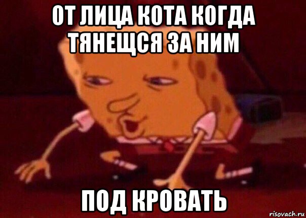 от лица кота когда тянещся за ним под кровать, Мем    Bettingmemes