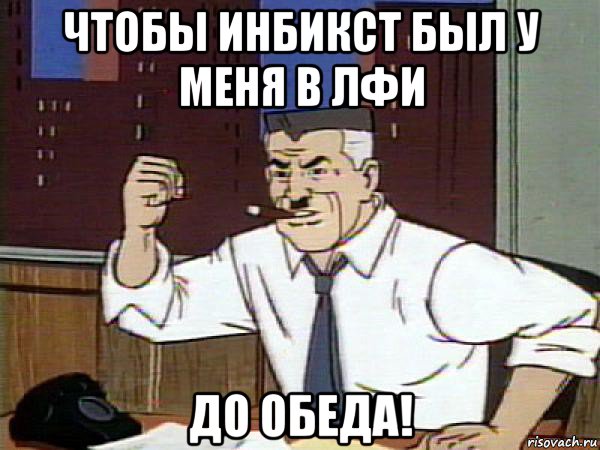 чтобы инбикст был у меня в лфи до обеда!