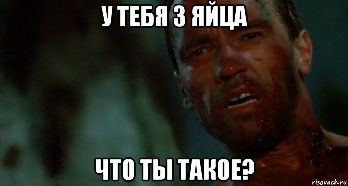 у тебя 3 яйца что ты такое?, Мем Что ты такое