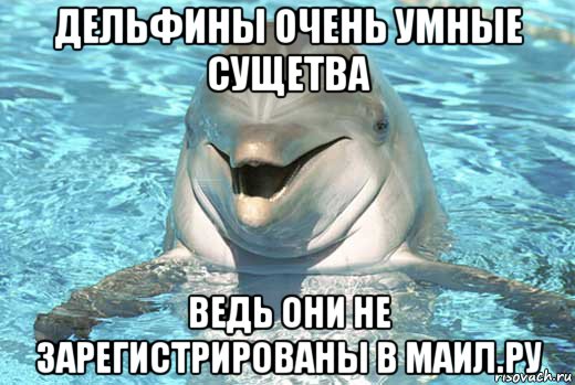 дельфины очень умные сущетва ведь они не зарегистрированы в маил.ру, Мем Дельфин