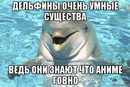 дельфины очень умные существа ведь они знают что аниме говно, Мем Дельфин