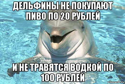 дельфины не покупают пиво по 20 рублей и не травятся водкой по 100 рублей, Мем Дельфин