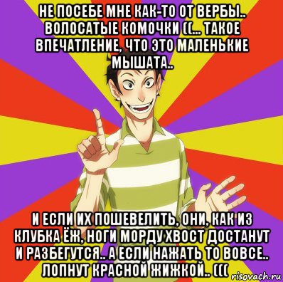 не посебе мне как-то от вербы.. волосатые комочки ((... такое впечатление, что это маленькие мышата.. и если их пошевелить, они, как из клубка ёж, ноги морду хвост достанут и разбегутся.. а если нажать то вовсе.. лопнут красной жижкой.. ((( ⠀, Мем Дон Кихот Соционика