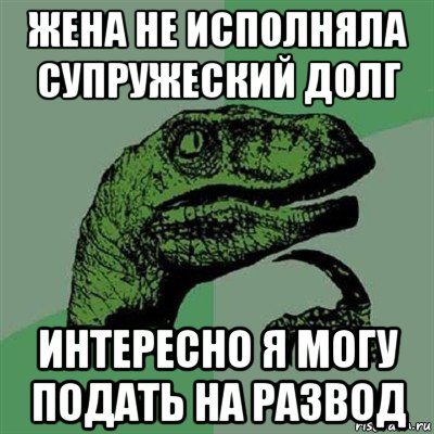 жена не исполняла супружеский долг интересно я могу подать на развод, Мем Филосораптор