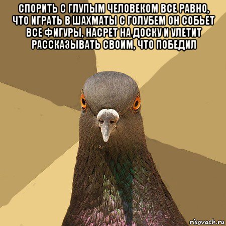 спорить с глупым человеком все равно, что играть в шахматы с голубем он собьет все фигуры, насрет на доску и улетит рассказывать своим, что победил , Мем голубь