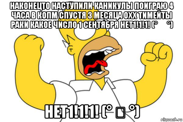 наконецто наступили каникулы поиграю 4 часа в копм спустя 3 месяца охх тимейты раки какое число 1 сентября нет1!1!1! (° ʖ °) нет1!1!1! (° ʖ °), Мем Разъяренный Гомер