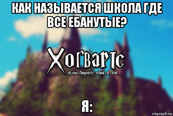 как называется школа где все ебанутые? я:, Мем Хогвартс