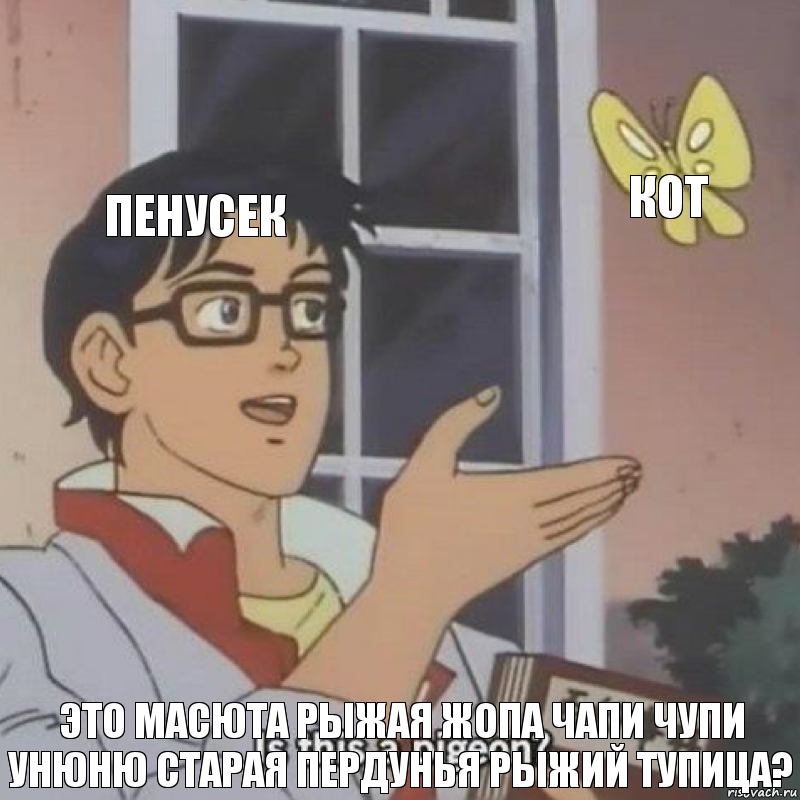 пенусек кот это масюта рыжая жопа чапи чупи унюню старая пердунья рыжий тупица?, Комикс  Is this