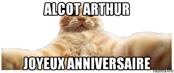 alcot arthur joyeux anniversaire, Мем   Кэтсвилл