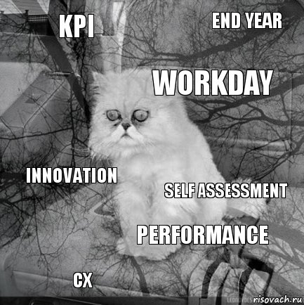 KPI Self Assessment Workday CX Innovation end year performance   , Комикс  кот безысходность