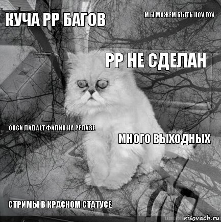 куча РР багов много выходных РР не сделан стримы в красном статусе опси лидает Филип на релизе мы можем быть ноу гоу    , Комикс  кот безысходность