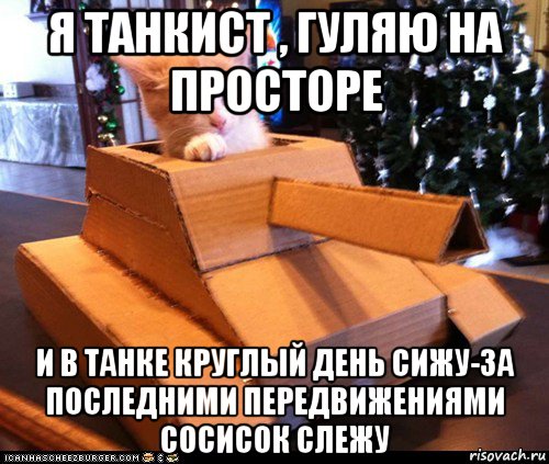 я танкист , гуляю на просторе и в танке круглый день сижу-за последними передвижениями сосисок слежу, Мем Котэ танкист